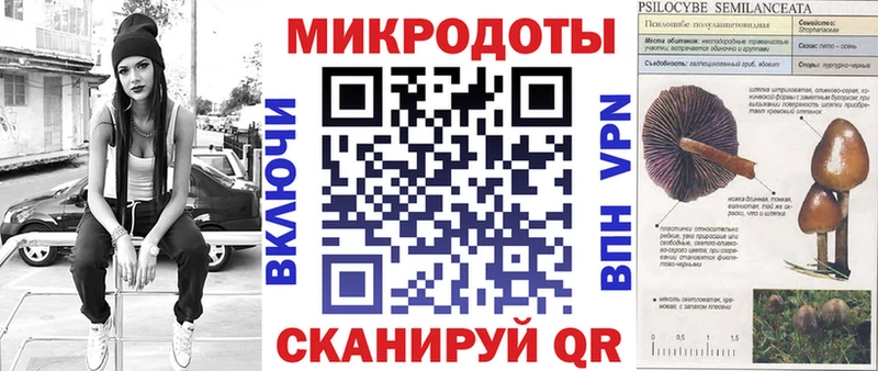 Псилоцибиновые грибы Magic Shrooms  где купить наркотик  omg сайт  Пудож 